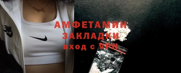 индика Михайловка