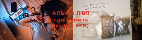 индика Михайловка