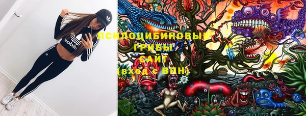 индика Михайловка