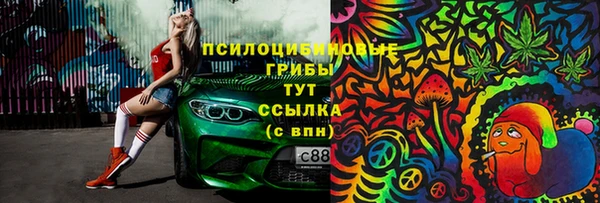 индика Михайловка