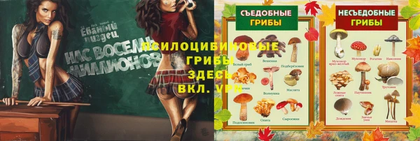 а пвп мука Михайлов