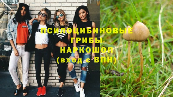 спиды Менделеевск