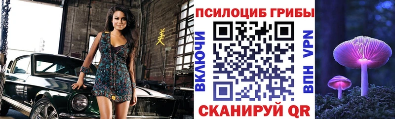 Псилоцибиновые грибы GOLDEN TEACHER  Поворино 